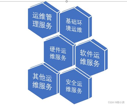 第4篇 信息技術(shù)服務(wù)知識——技術(shù)服務(wù)