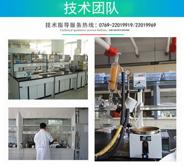 專業(yè)服務(wù)護(hù)航，技術(shù)服務(wù)賦能企業(yè)數(shù)字化轉(zhuǎn)型