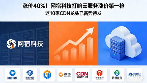 漲價(jià)40% 網(wǎng)宿科技打響云服務(wù)漲價(jià)第一槍，10家CDN龍頭蓄勢(shì)待發(fā)